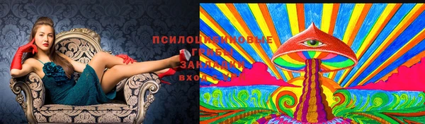 дживик Каменск-Шахтинский