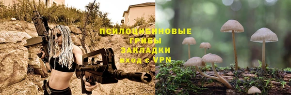 ALPHA-PVP Кинешма